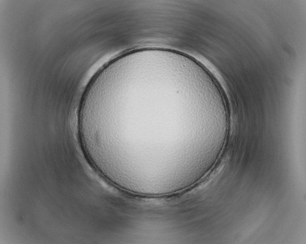 X0000112911341200909141243