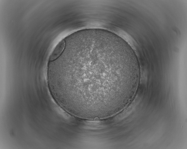 X0000112911342200909141243