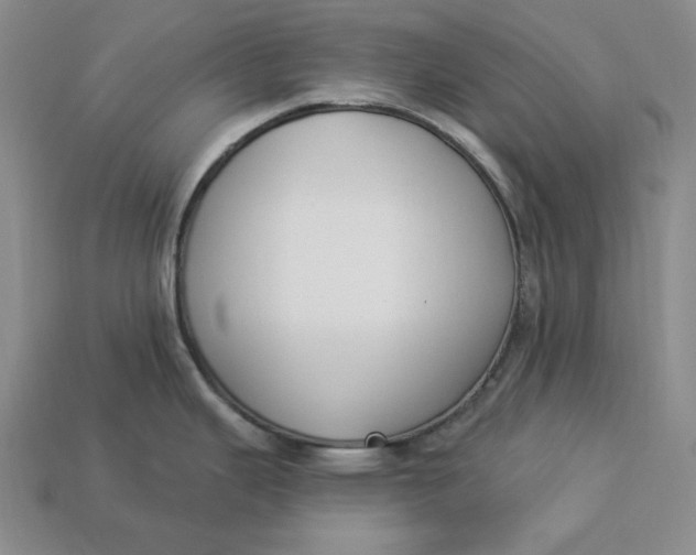 X0000112911343200909141243