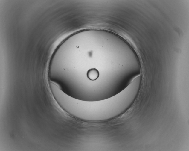 X0000112911344200909141243