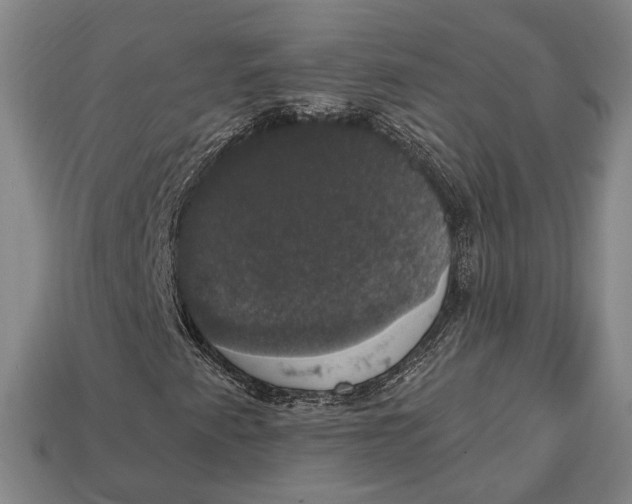 X0000112911345200909141242