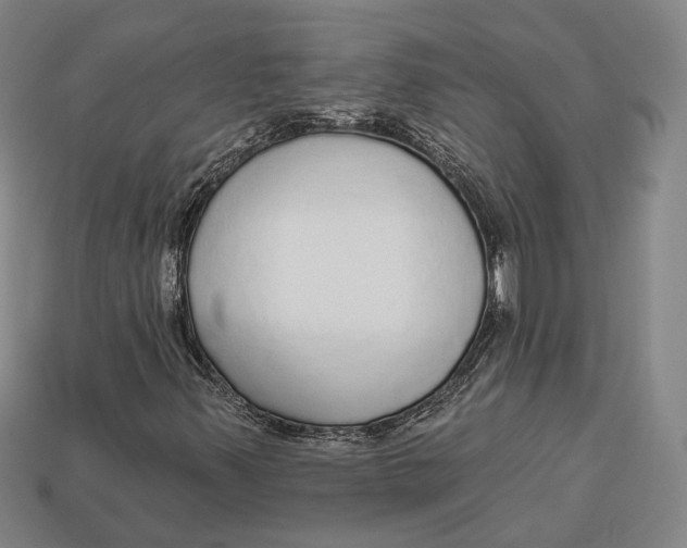 X0000112911347200909141242