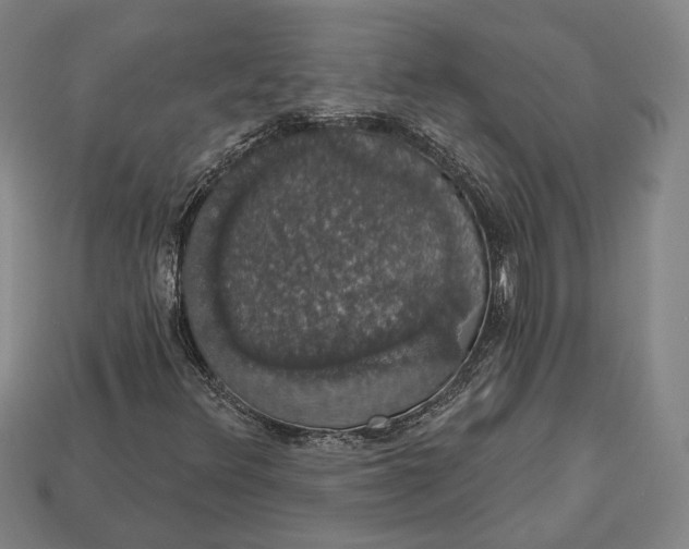 X0000112911348200909141242