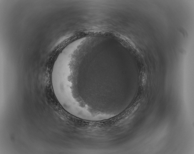 X0000112911350200909141242