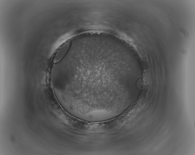 X0000112911352200909141242