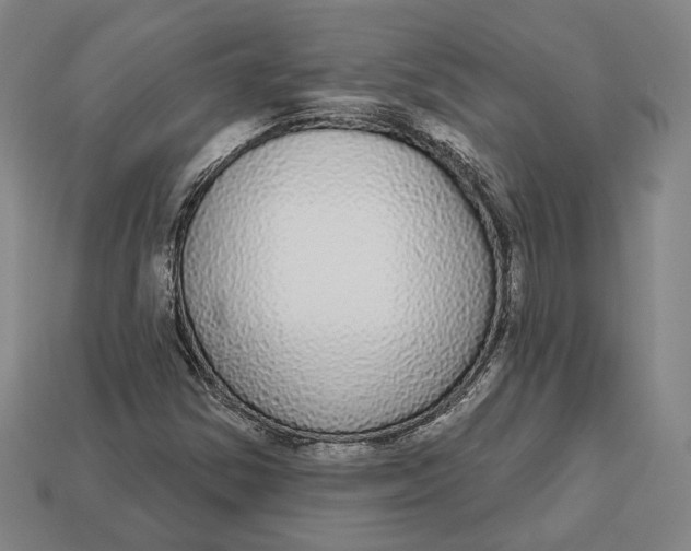 X0000112911354200909141242