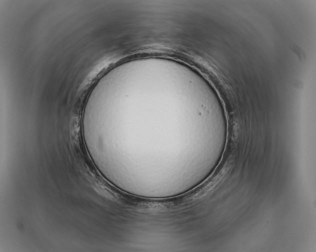 X0000112911355200909141242