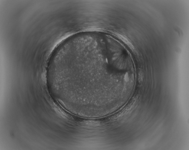 X0000112911356200909141242