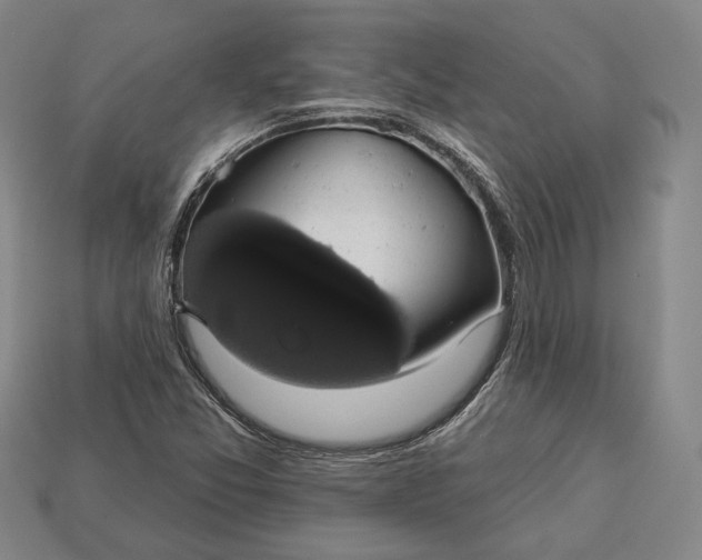 X0000112911357200909141242