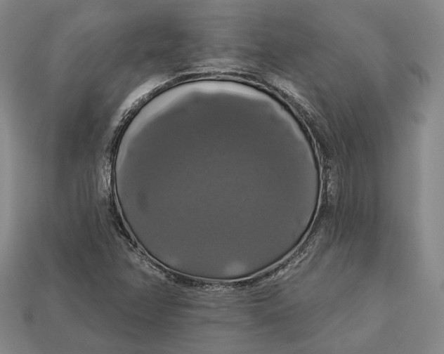 X0000112911358200909141242