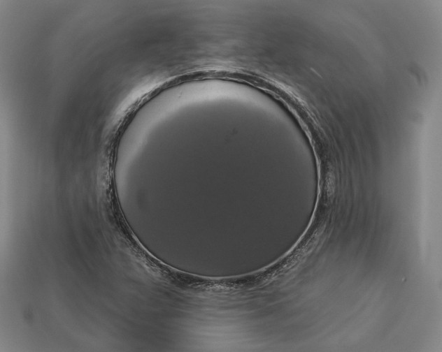 X0000112911359200909141242