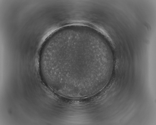 X0000112911360200909141242