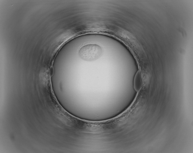 X0000112911361200909141242