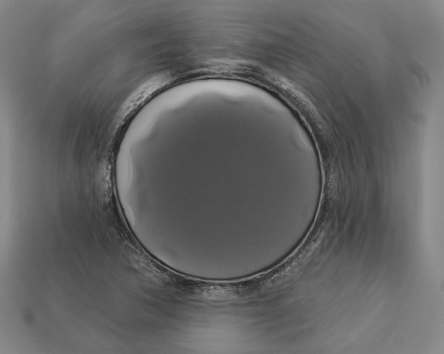 X0000112911362200909141242