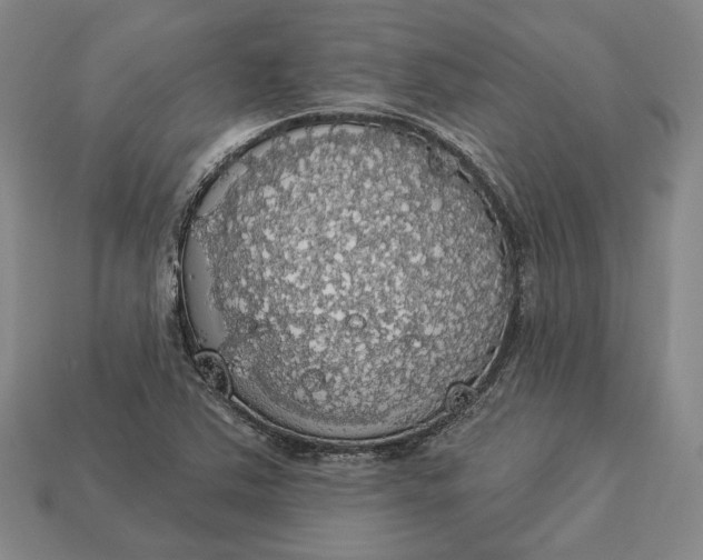 X0000112911363200909141242