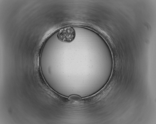 X0000112911365200909141242