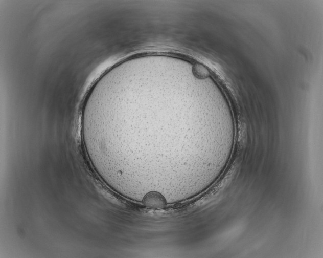 X0000112911366200909141242