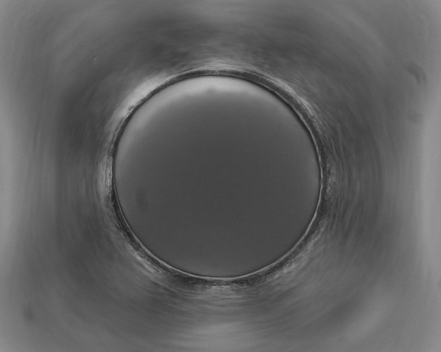 X0000112911367200909141242