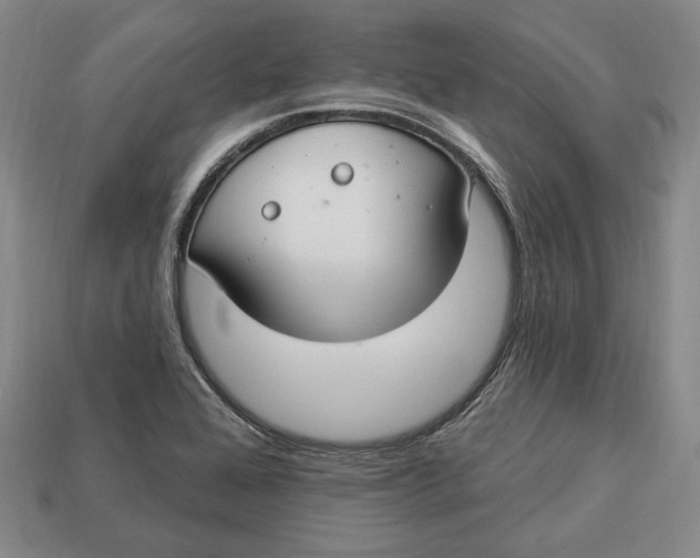 X0000112911368200909141242