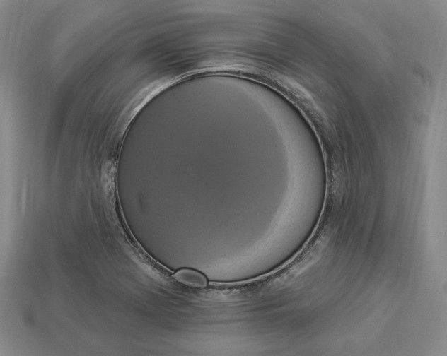 X0000112911369200909141242