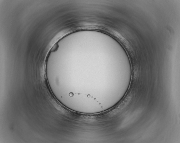 X0000112911370200909141242