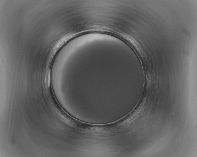 X0000112911371200909141242