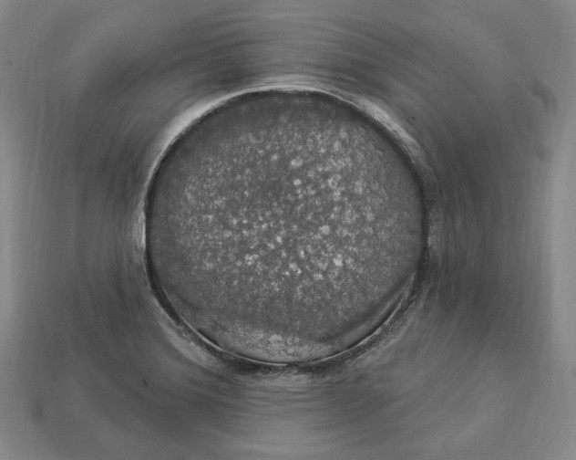 X0000112911372200909141242