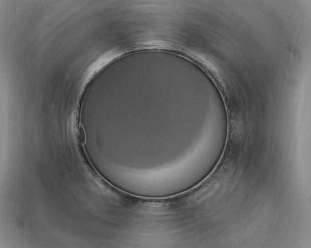 X0000112911373200909141242