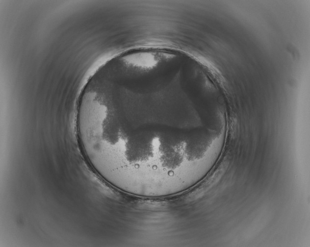 X0000112911374200909141242