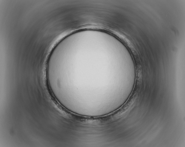 X0000112911375200909141242