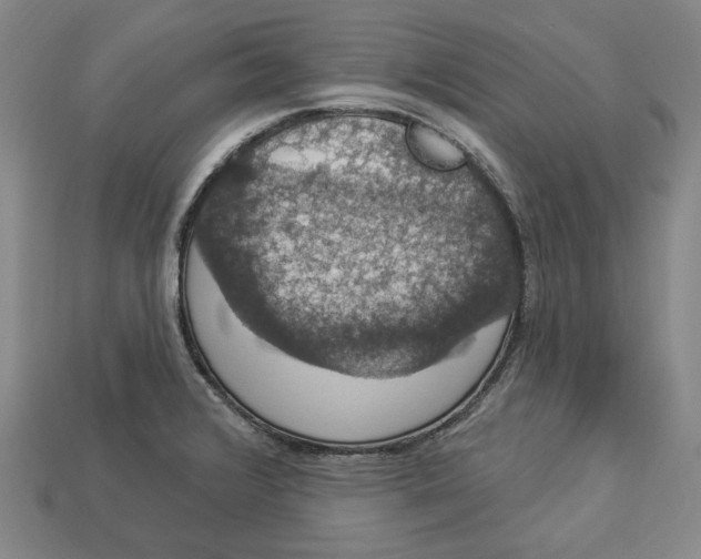 X0000112911376200909141242