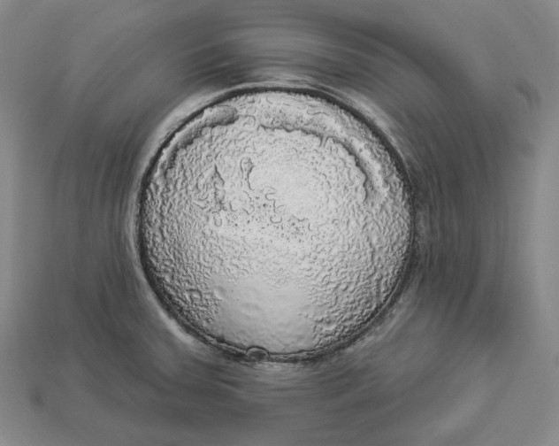 X0000112911379200909141242