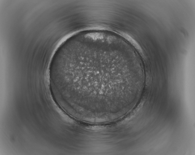 X0000112911380200909141242