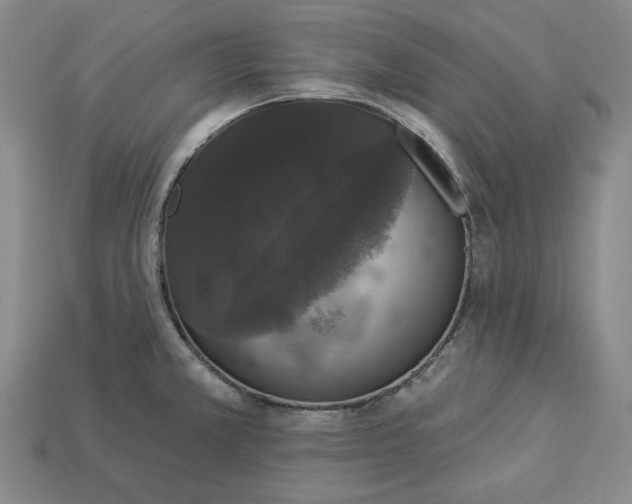 X0000112911381200909141242