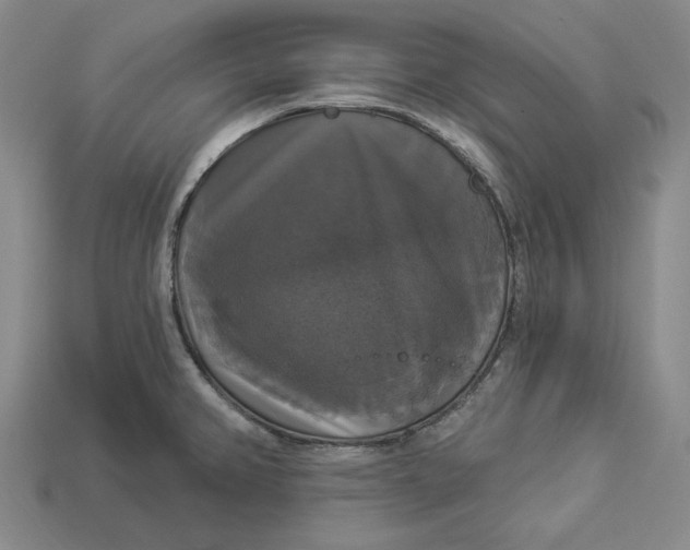 X0000112911382200909141242