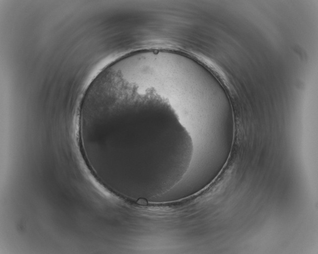 X0000112911383200909141242