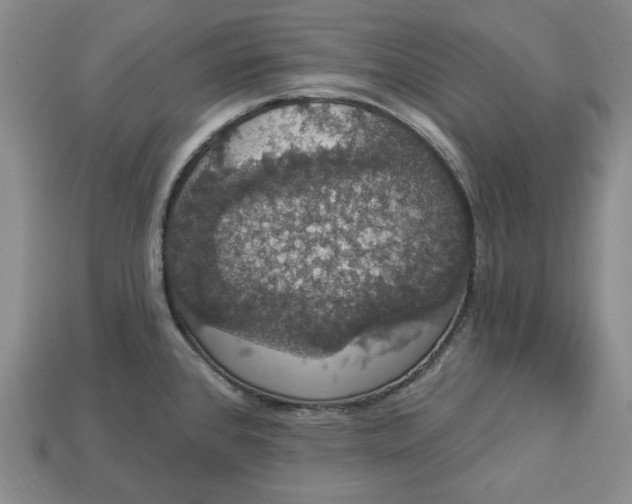 X0000112911384200909141242