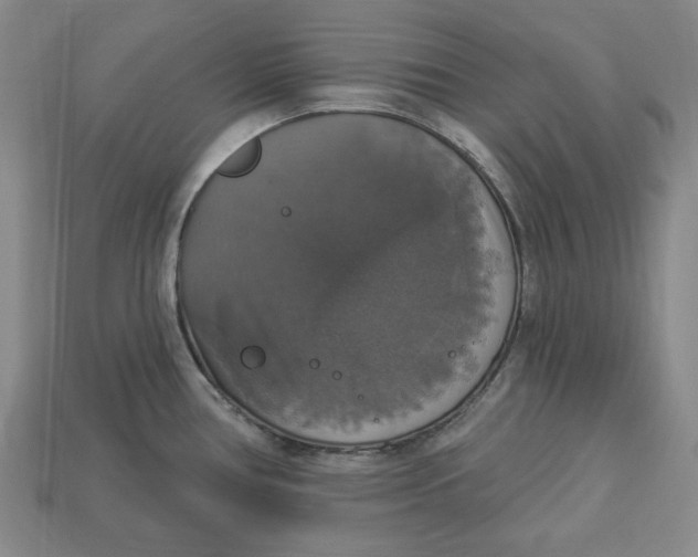 X0000112911386200909141242