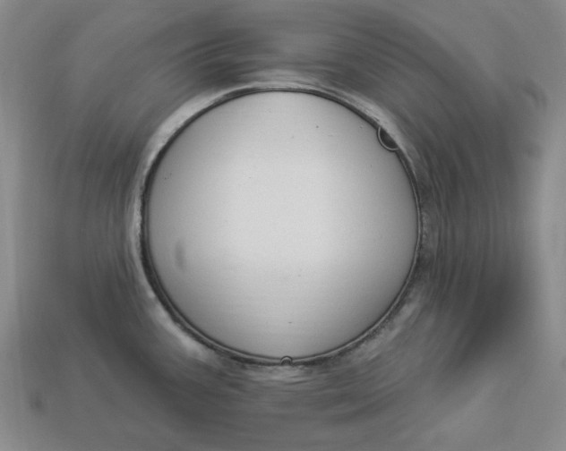 X0000112911387200909141242