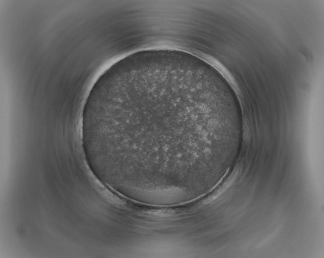 X0000112911388200909141242