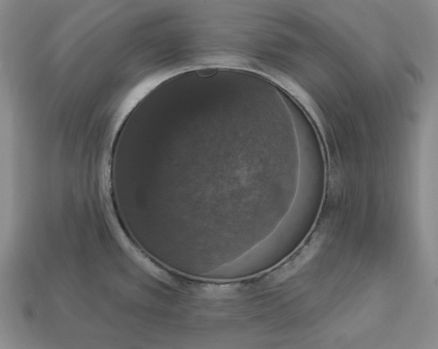 X0000112911389200909141242