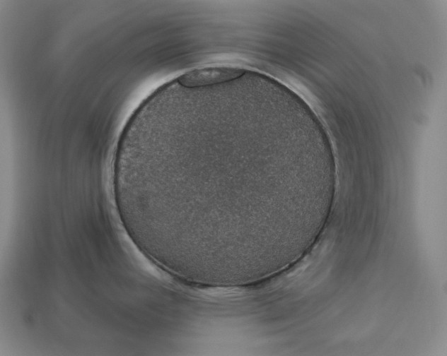 X0000112911392200909141242