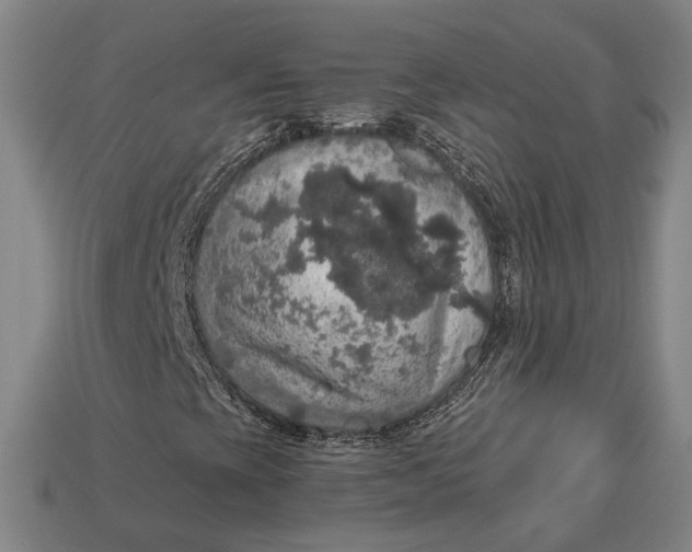 X0000112911393200909141241