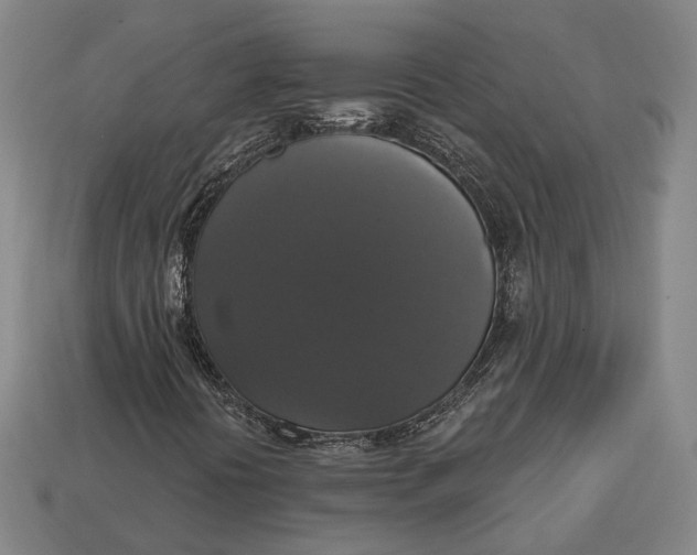 X0000112911394200909141241