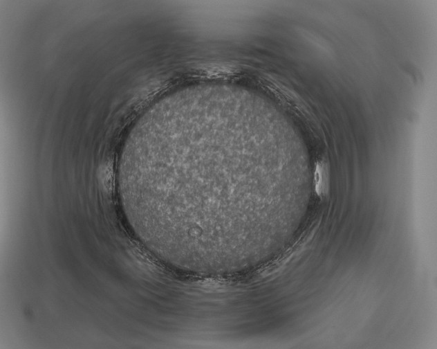 X0000112911395200909141241