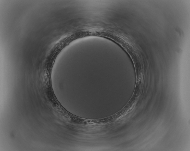 X0000112911398200909141241