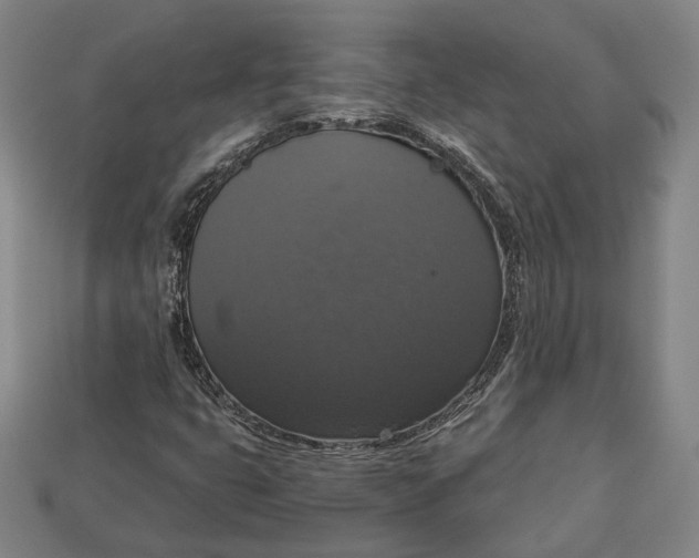 X0000112911399200909141241