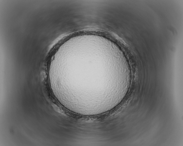 X0000112911400200909141241