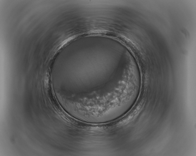 X0000112911401200909141241