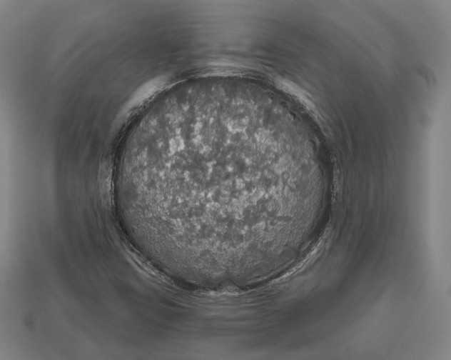 X0000112911403200909141241